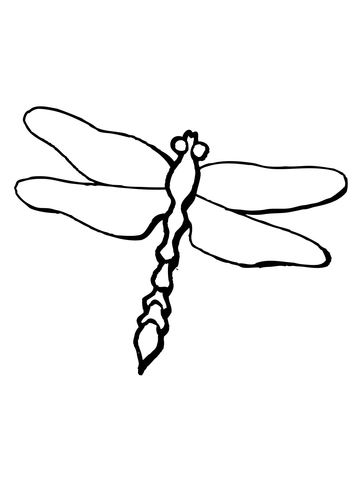 Dragonfly Odonta Epiprocta Coloring Page